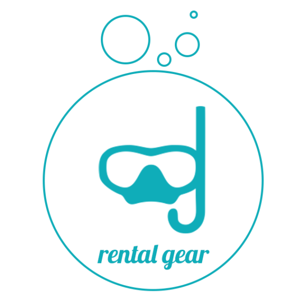 Rental Snorkel Gear - Free Delivery!